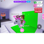 Unicorn-fan-group