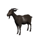 the G.O.A.T foundation