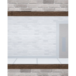 The mirror