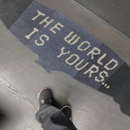 ♬⋆.˚