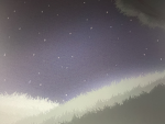 Astronomic Paws