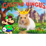 Castle Bingus!