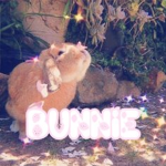 bunnïe