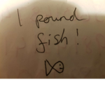 1 pound fish GANG