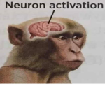 | Monkey Business |