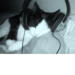 drukcat