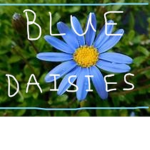 Blue Daisies