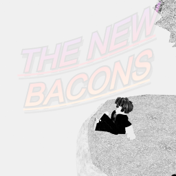 The New Bacons - The Meeting Place