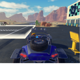 ROBLOX race