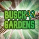 BGW & WATER COUNTRY USA! (MAIN GROUP)