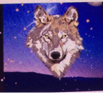 WolfxBlox the group