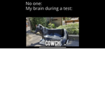 COWCH