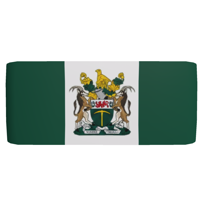 UDI Flag Armband (Dark Green) [Left]