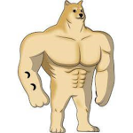 Doge humans
