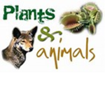 Plants, and animals.
