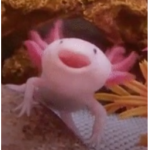 Axolotl’s Hub