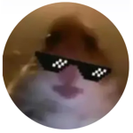 WHATEVER OOF