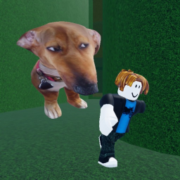 Escape Side Eye Dog