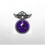 [9AB] 901st Air Battalion