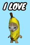 Banana cat gruppe