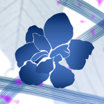 Iris Works