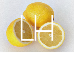 LEMON HOUSE MERCH STORE
