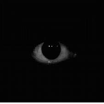She is watching you.