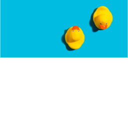 Only Duck (Up)