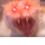VNDgaming