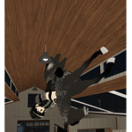 Maple springs rp hosts