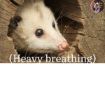 Meemaw