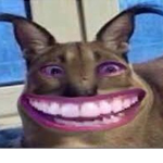 A è s t h e t i c søul