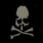 skull of the dead