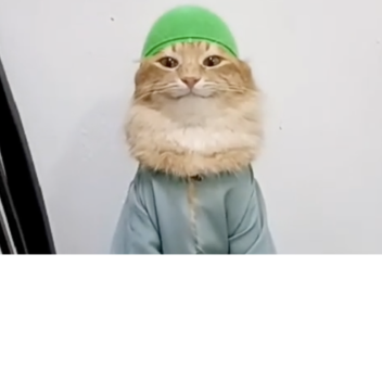 Tob tobi tob tob  obby