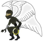 Angel Ninjas