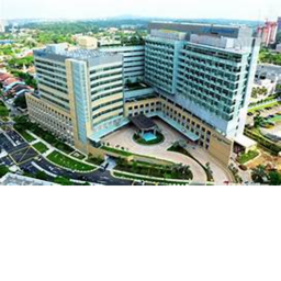 The Mountain Elizabeth Novena Hospital Coming soon