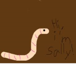 Earthworm Sally Empire