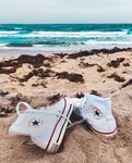 fans. Of converse star