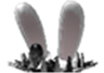 Bunnies of the Lost Void