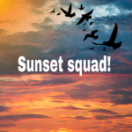My Little Sunset Squad!