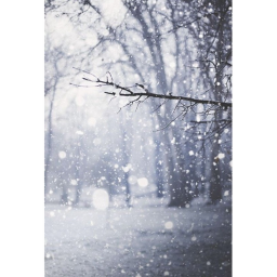 Cold day. . . :T