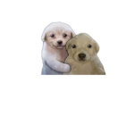 Pagos de Amigos