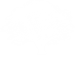 dr trees