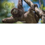#sloth fans only