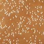 Clay Beetles