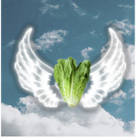 funky lettuce