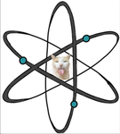Silly Cat Incorporated