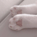 Pᴀʟ Cʟᴏᴛʜɪɴɢ