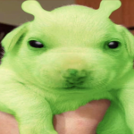 gleeglorp warehouse