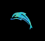 PrettyDolphins :)